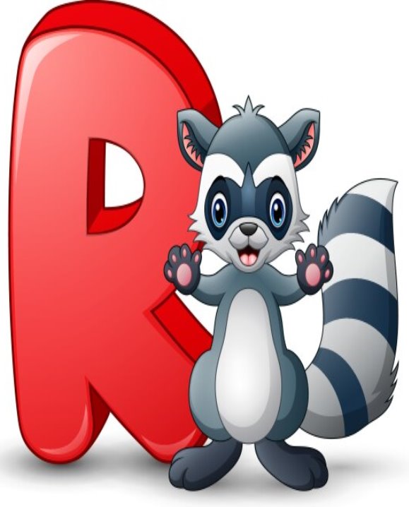 R is for Raccoon Vector Images (13)